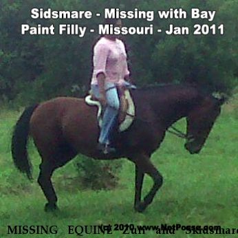 MISSING EQUINE Zuri and Skidsmare, Near Lee's Summit, MO, 64063